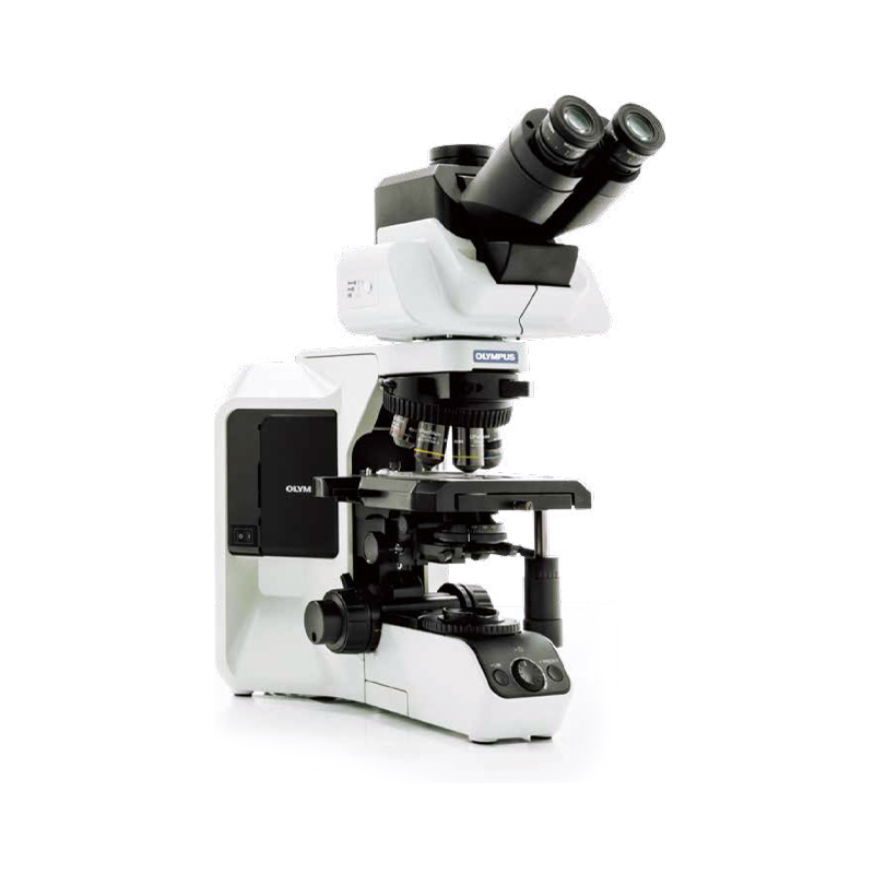 奥林巴斯 生物显微镜BX53(LED)